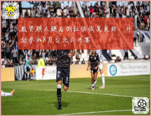 戴资颖大腿后侧拉伤恢复良好,计划参加8月台北公开赛